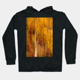 Autumn abstract Hoodie